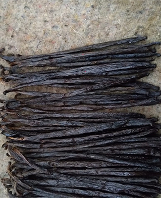 gourmet1-Vanilla-Pods-Ghilane-Beans-Mauritius-Madagascar-import-export